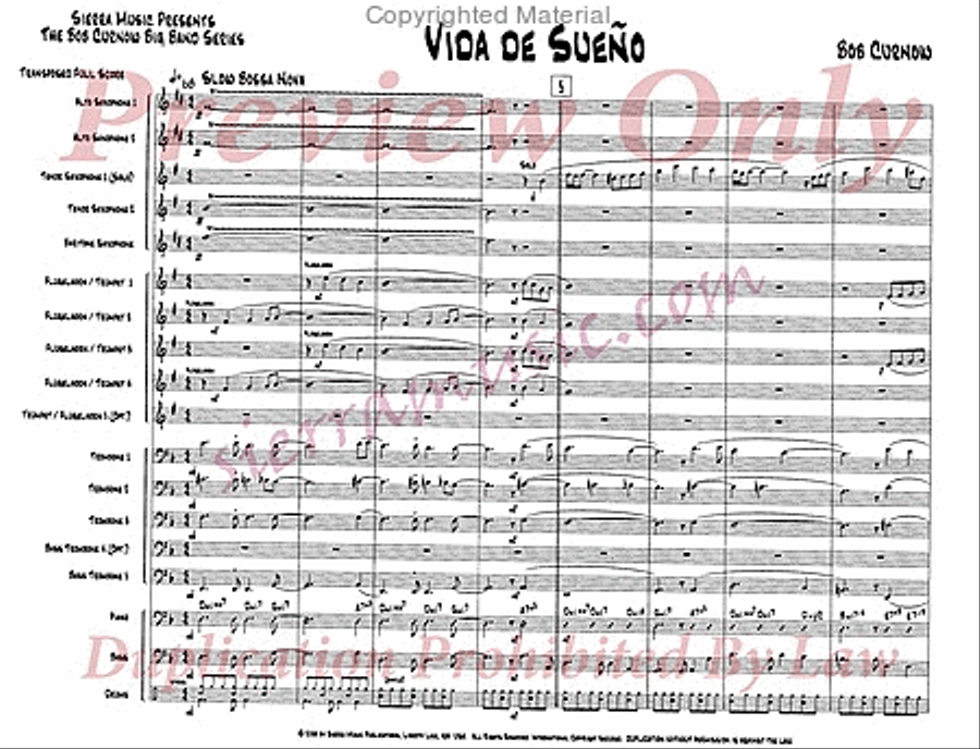 Vida De Sueno Big Band scores gallery preview page 2