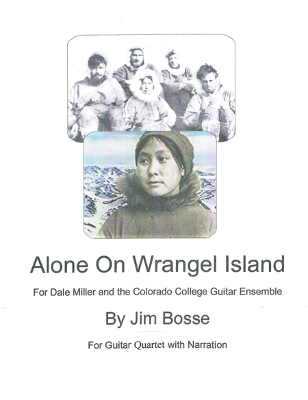 Alone on Wrangel Island image number null