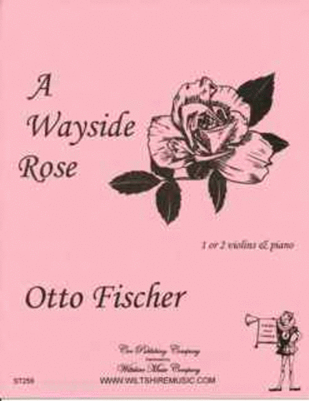A Wayside Rose