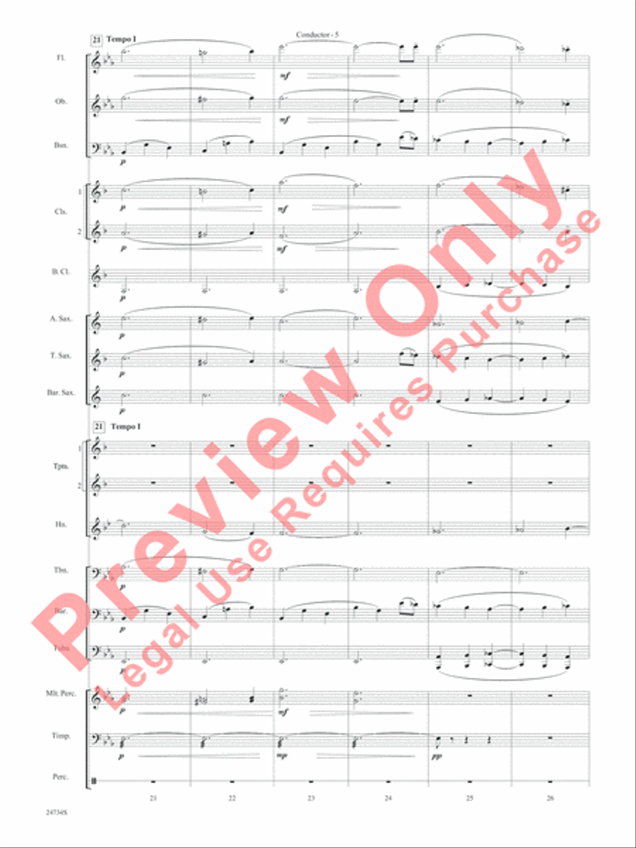Nocturne (Opus 9, No. 2) Concert Band scores gallery preview page 8