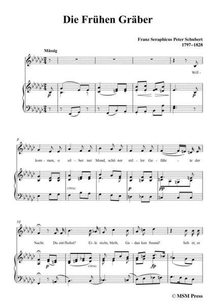 Schubert-Die Frühen Gräber,in e flat minor,for Voice&Piano image number null