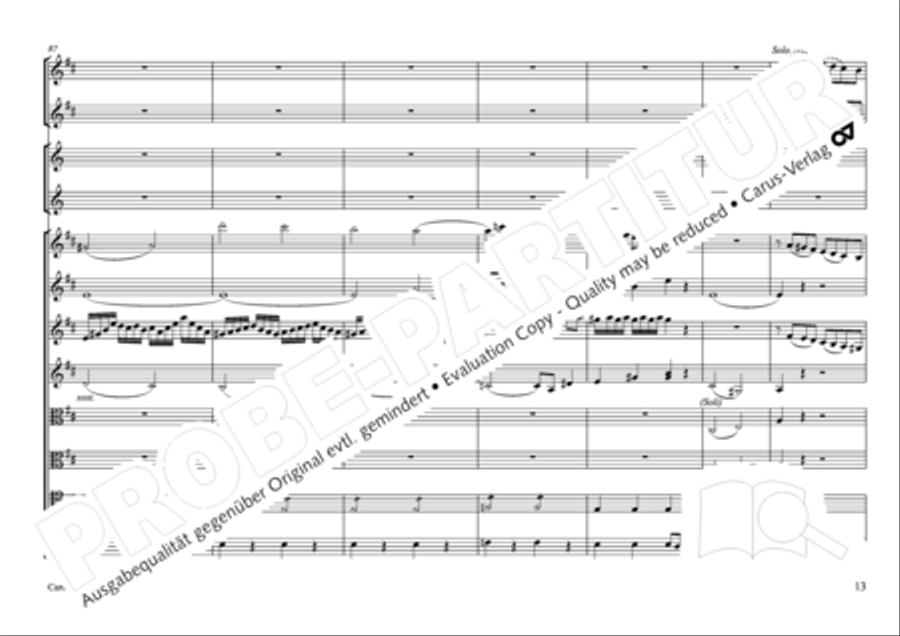 Concertone in D major Horn scores gallery preview page 14