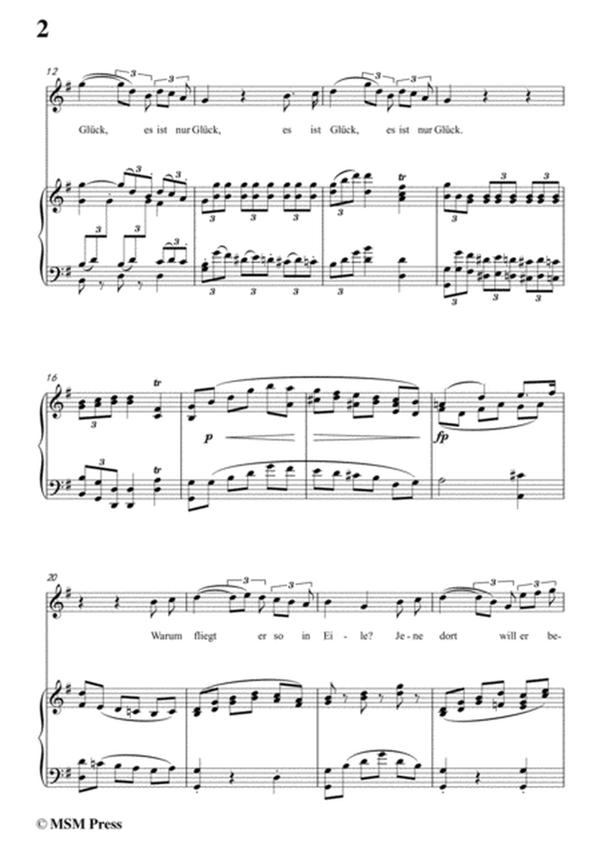 Schubert-Hin und wieder fliegen Pfeile,in G Major,for Voice&Piano image number null