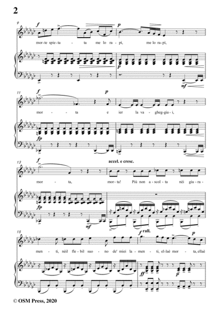 Donizetti-E Morta,in e flat minor,for Voice and Piano