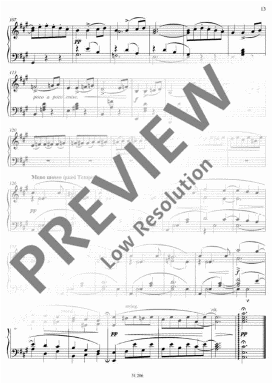 Waltzes and Mazurkas Piano Solo scores gallery preview page 13
