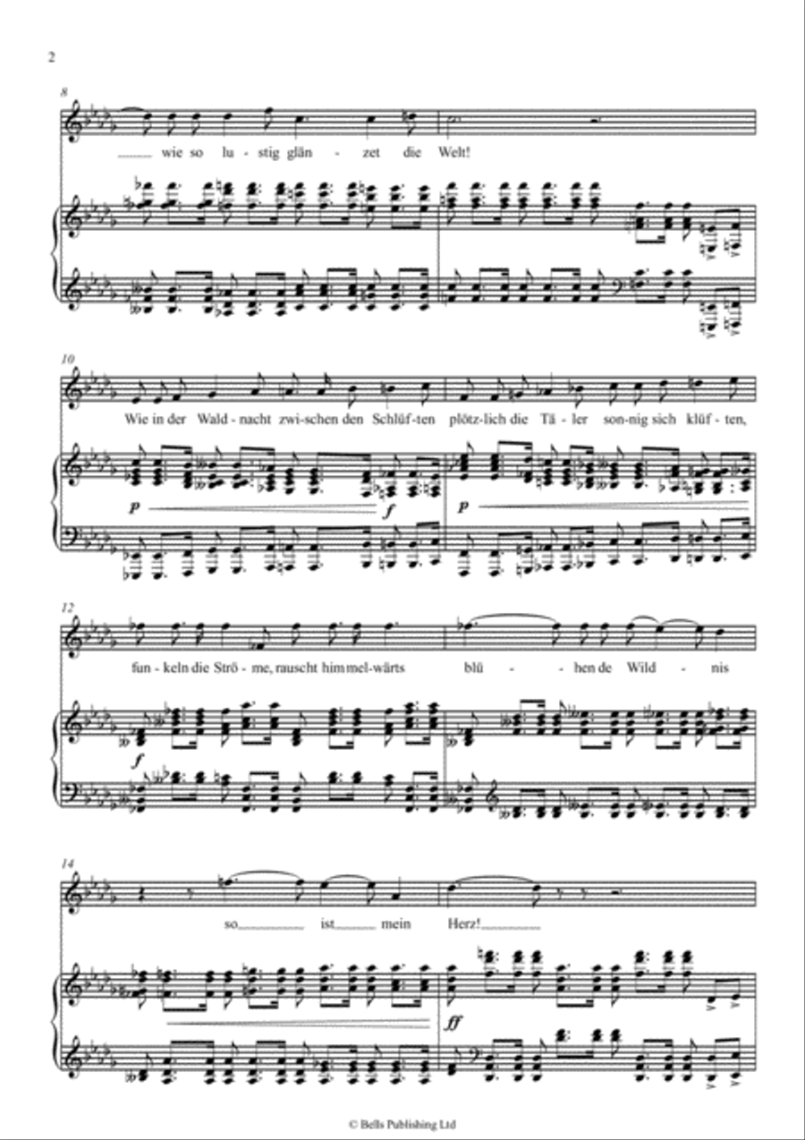 Liebesgluck (D-flat Major) Voice Solo scores gallery preview page 2
