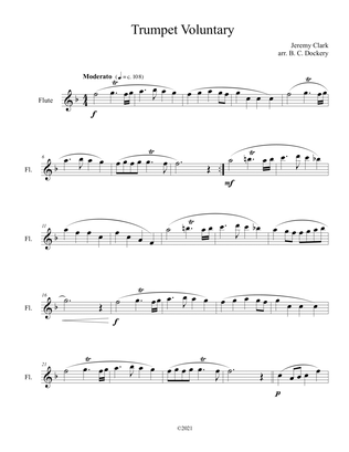 Trumpet Voluntary (Flute Solo)