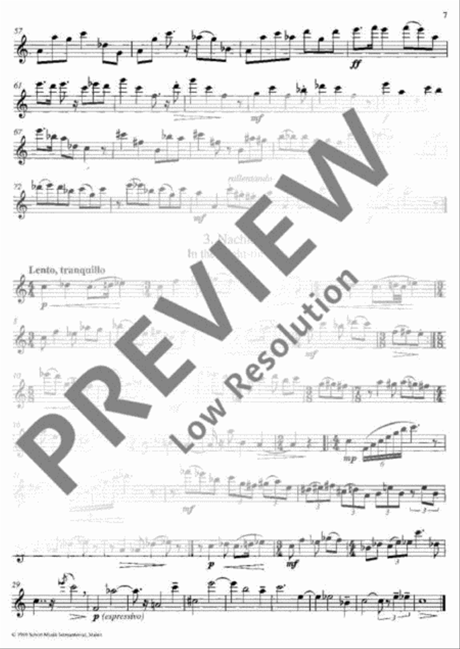 Klänge der Nacht Klänge der Nacht Tenor Recorder scores gallery preview page 8