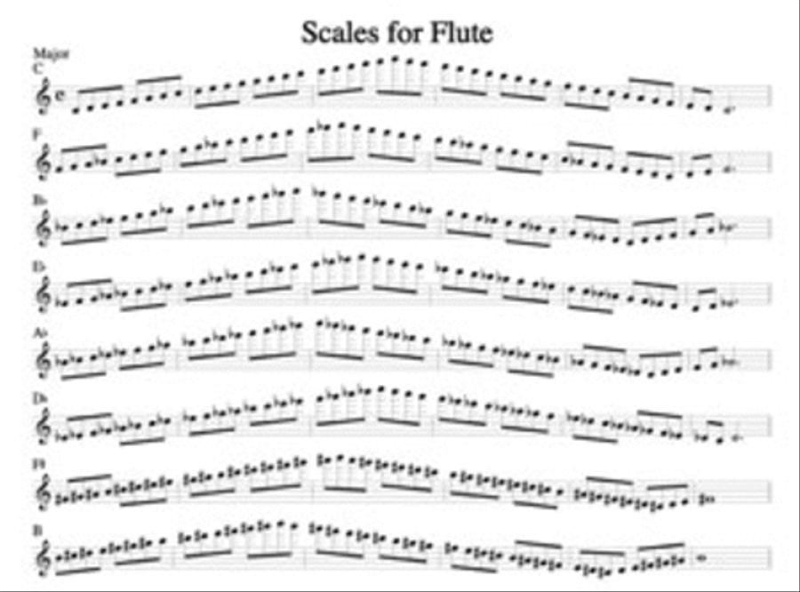 Different scales store of flute