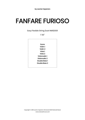 Book cover for Fanfare Furioso (Flexible string duet)
