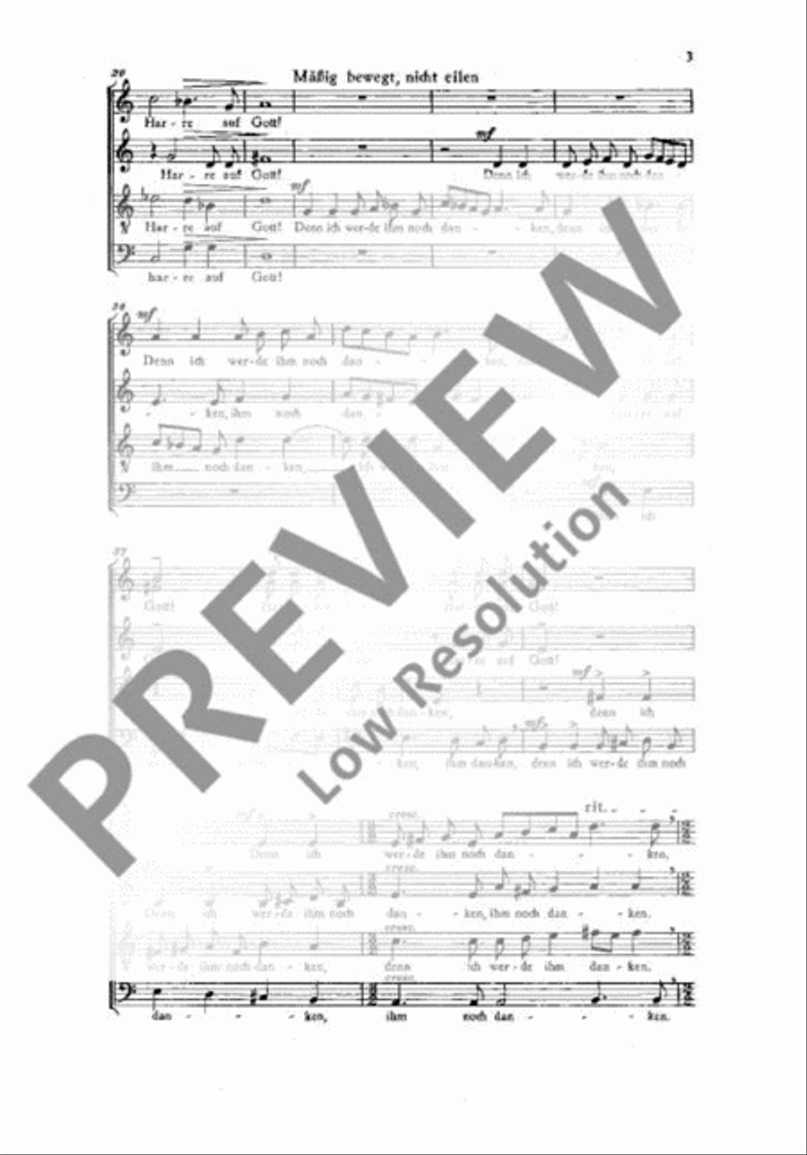 Vier kleine Motetten SSATB scores gallery preview page 4