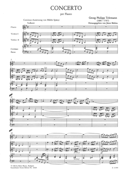 Concerto for flute in G major
