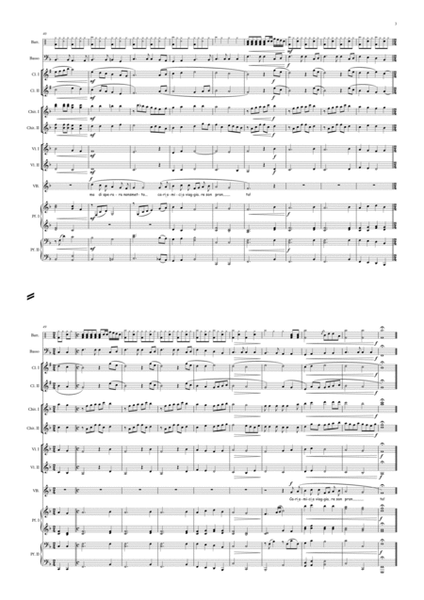 Il gatto (School orchestra version) image number null
