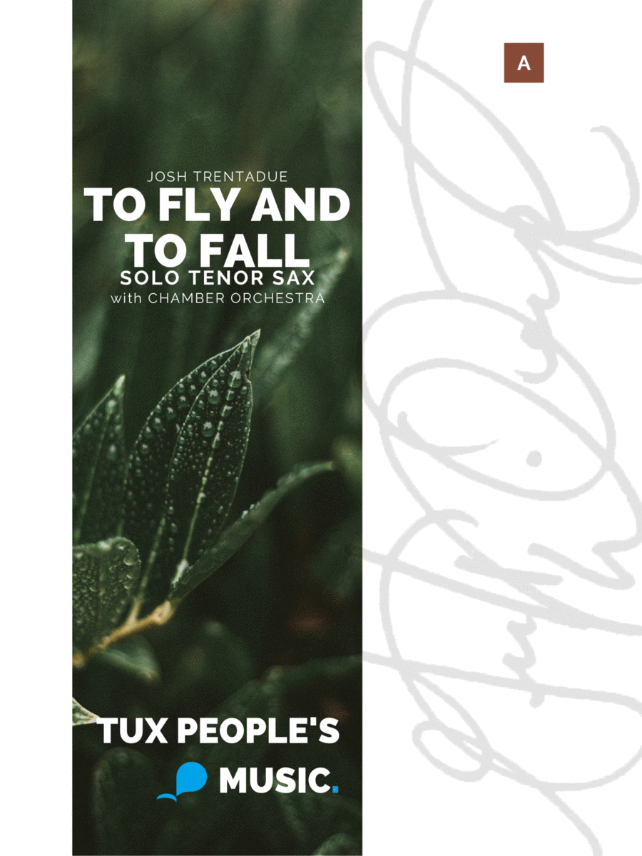 To fly and to fall (Concerto for Tenor Saxophone & Chamber Orchestra) Chamber Orchestra scores gallery preview page 1