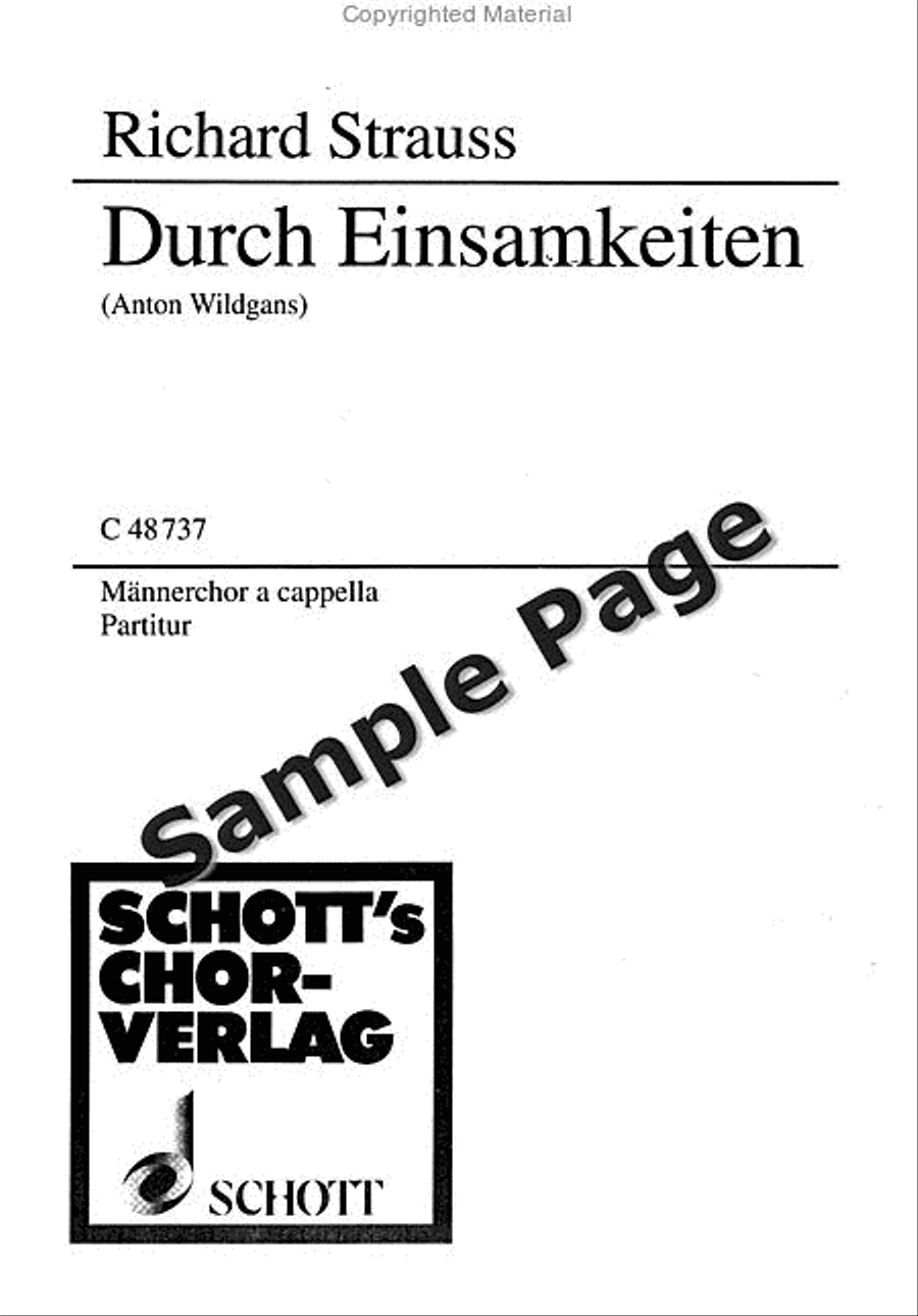Durch Einsamkeiten TTBB scores gallery preview page 2