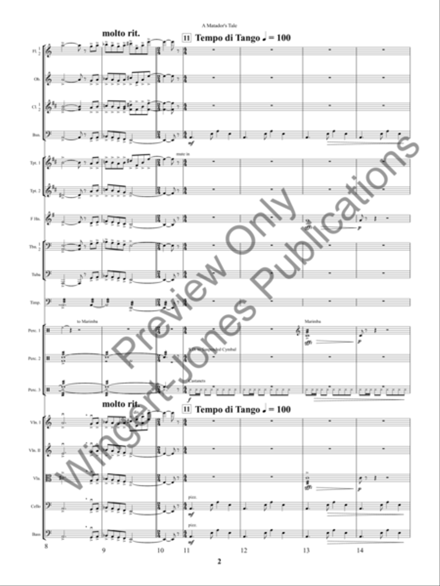 A Matador's Tale Full Orchestra scores gallery preview page 5