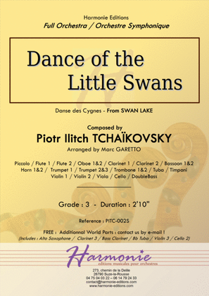 Dance of the Little Swans from SWAN LAKE - Tcha