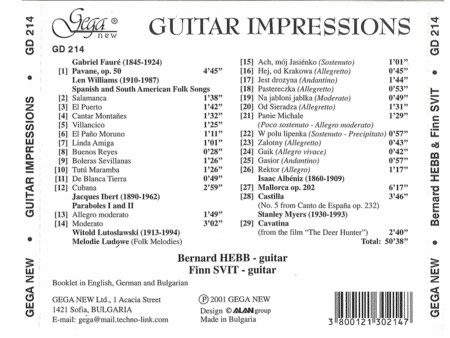 Guitar Impressions