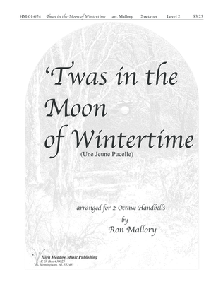 Book cover for Twas in the Moon of Wintertime