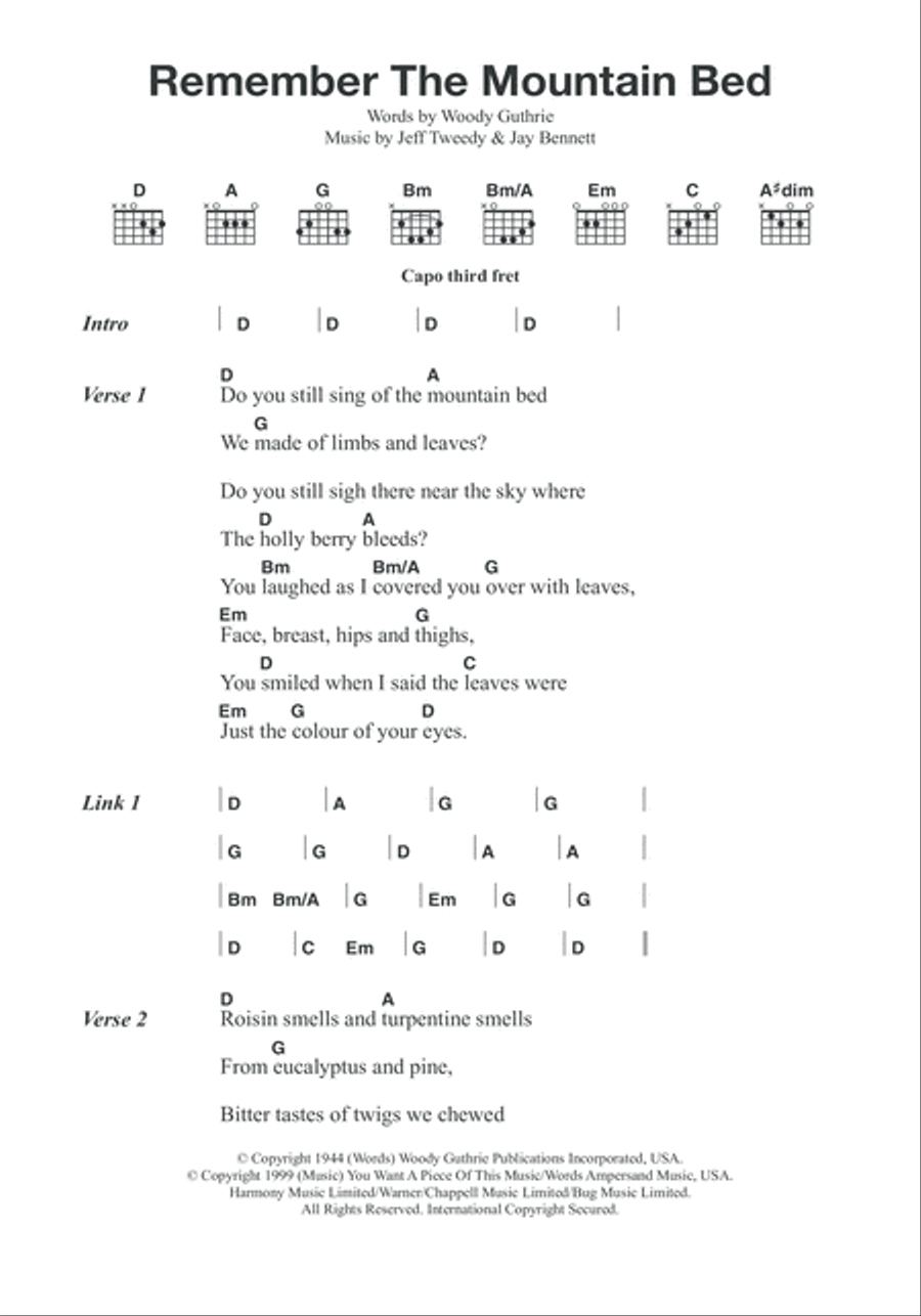 Remember The Mountain Bed Electric Guitar scores gallery preview page 1