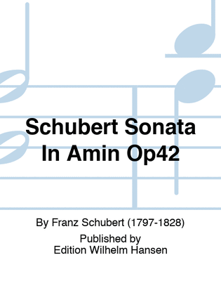 Book cover for Schubert Sonata In Amin Op42