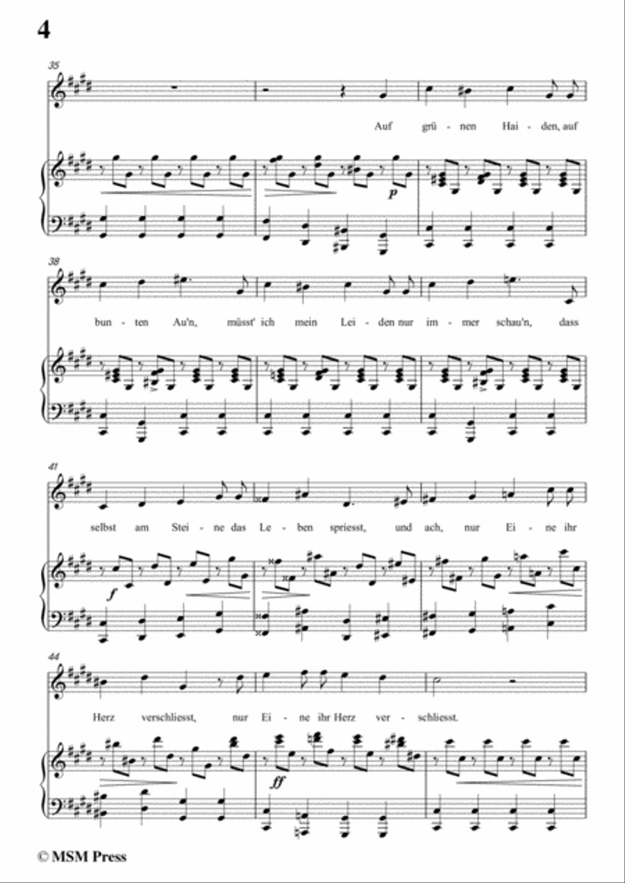 Schubert-Über Wildemann,in c sharp minor,Op.108 No.1,for Voice and Piano Voice Solo scores gallery preview page 6