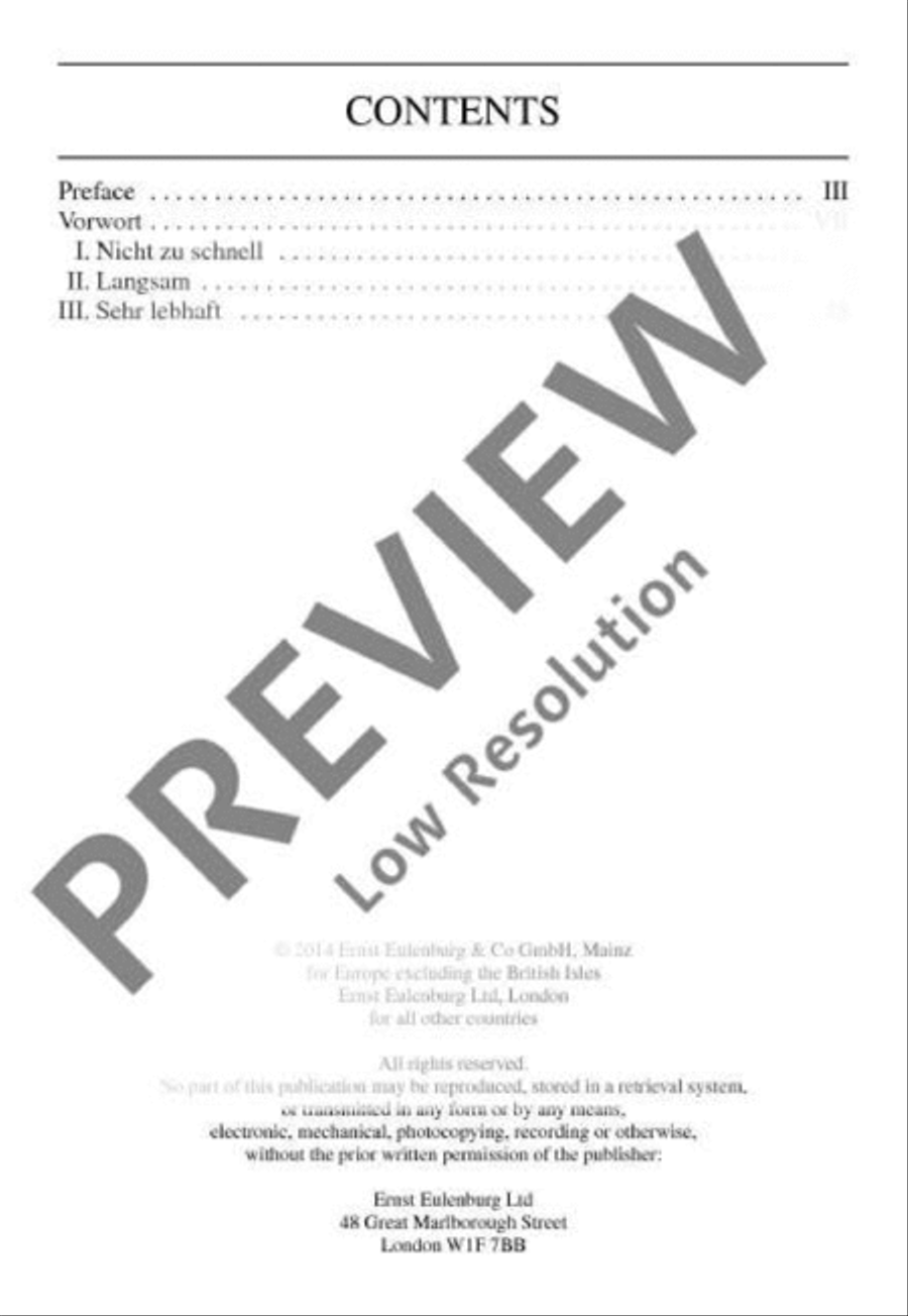 Concerto A minor Concerto A minor Orchestra scores gallery preview page 3
