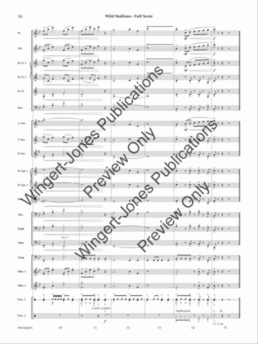 Wild Stallions (Score) Concert Band scores gallery preview page 17
