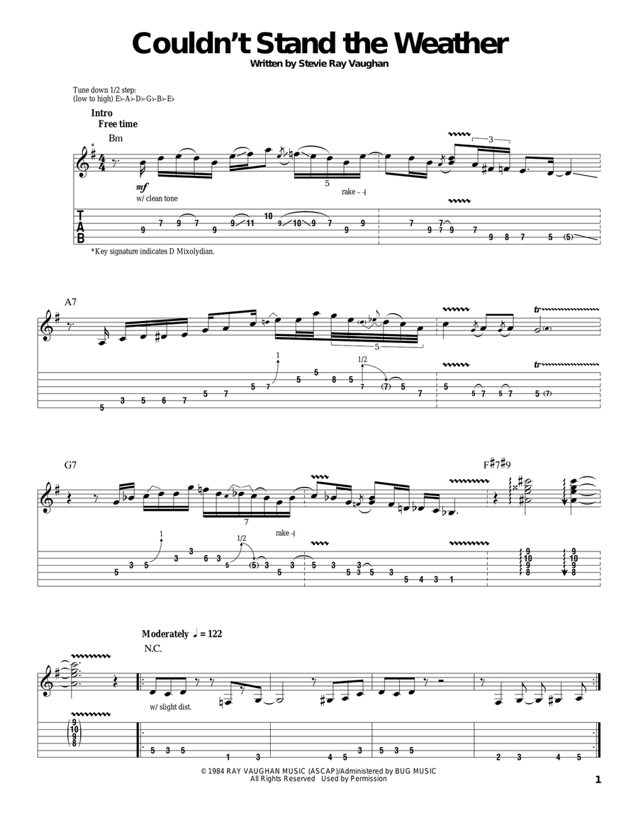 Couldn't Stand The Weather Acoustic Guitar scores gallery preview page 1