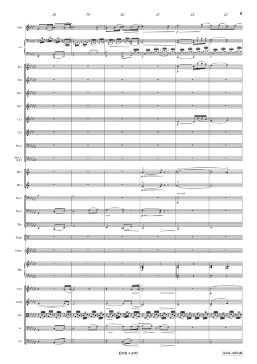 Concerto Orchestra scores gallery preview page 5