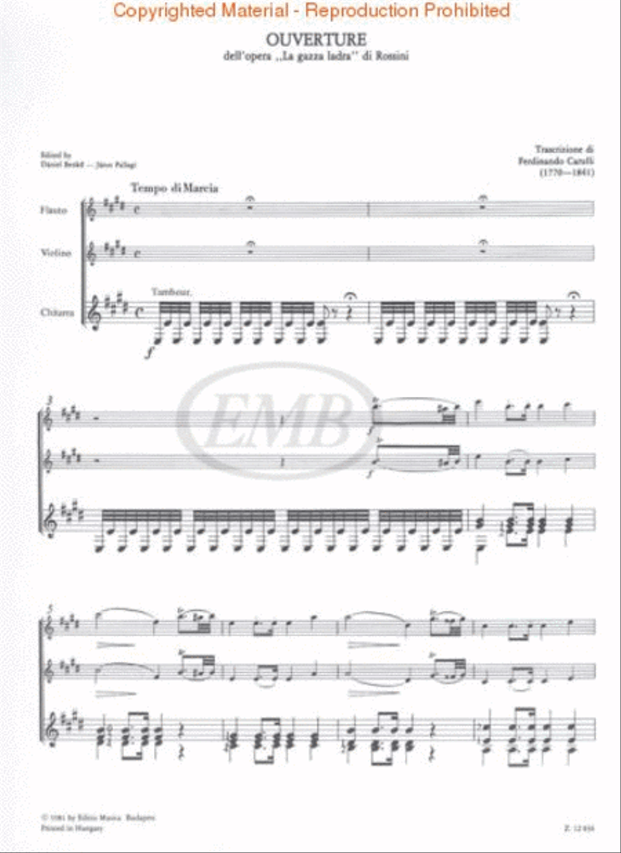 La Gazza Ladra (Overture) Flute scores gallery preview page 2