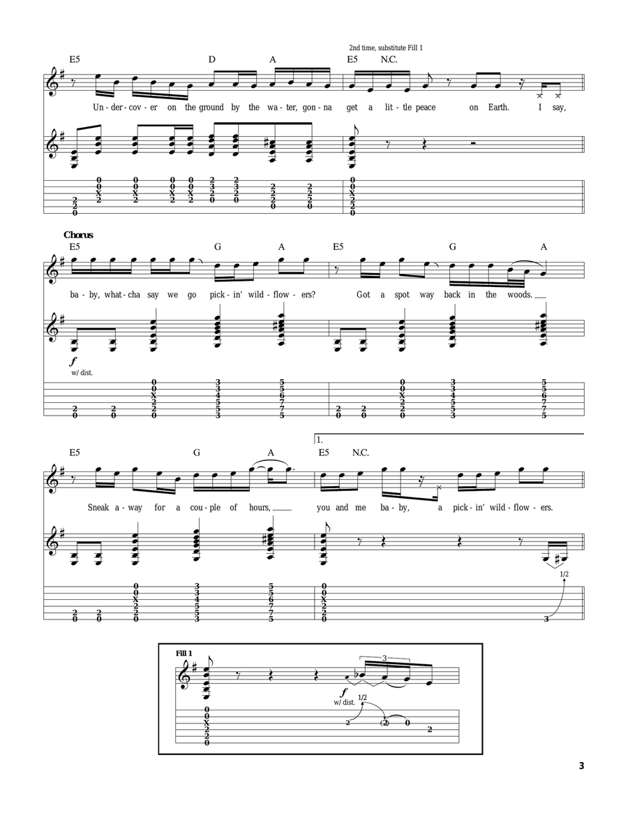 Pickin' Wildflowers Acoustic Guitar scores gallery preview page 3