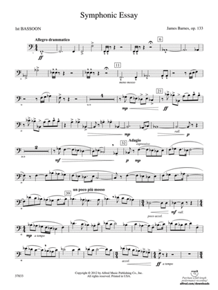 Symphonic Essay: Bassoon