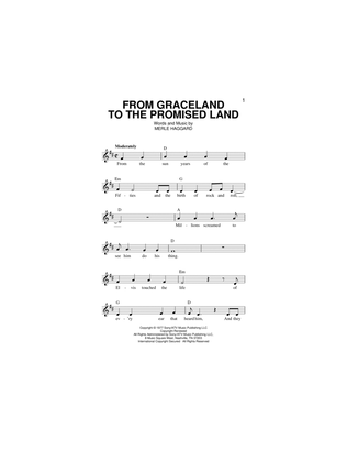 Book cover for From Graceland To The Promised Land