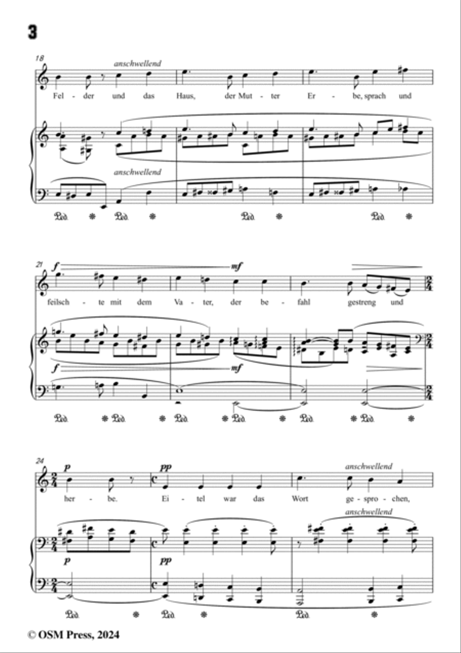 A. Jensen-Denke,denke,mein Geliebter,Op.30 No.4,in C Major Voice scores gallery preview page 4