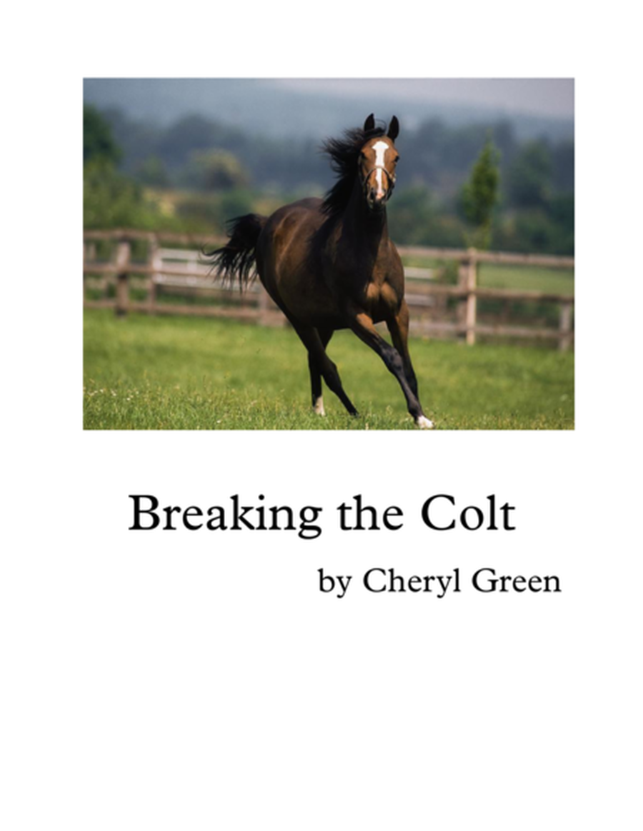 Breaking the Colt image number null