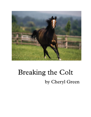Breaking the Colt