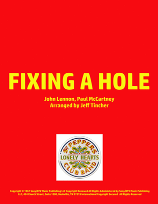 Book cover for Fixing A Hole