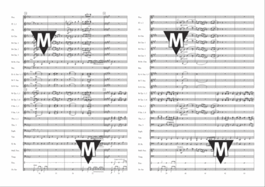Always Look on The Bright Side of Life Concert Band scores gallery preview page 9