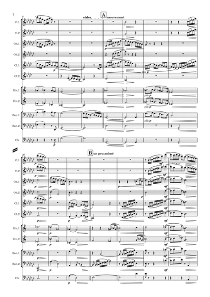 Debussy: Piano Preludes Bk.1 No.8 "La fille aux cheveux de lin" -symphonic wind image number null