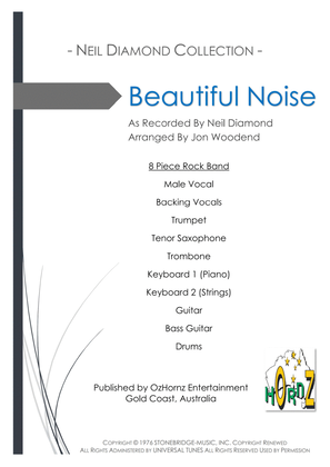 Book cover for Beautiful Noise