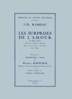 Book cover for Surprises De L'Amour