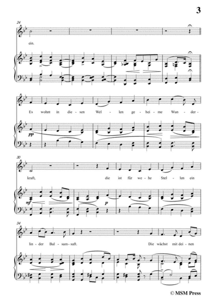 Schubert-Das Weinen,Op.106 No.2,in B flat Major,for Voice&Piano image number null