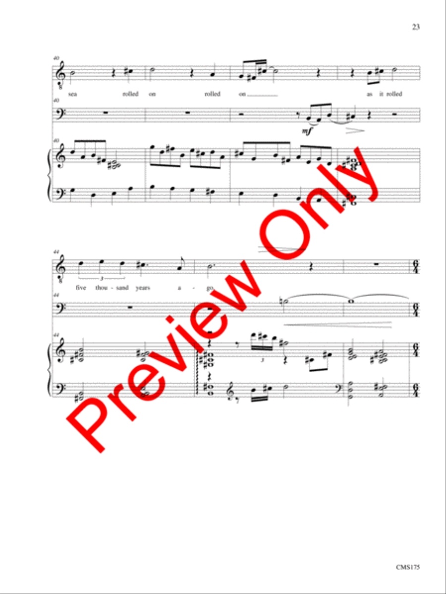 Songs of Solemn Confession: A Song Cycle Bassoon scores gallery preview page 24