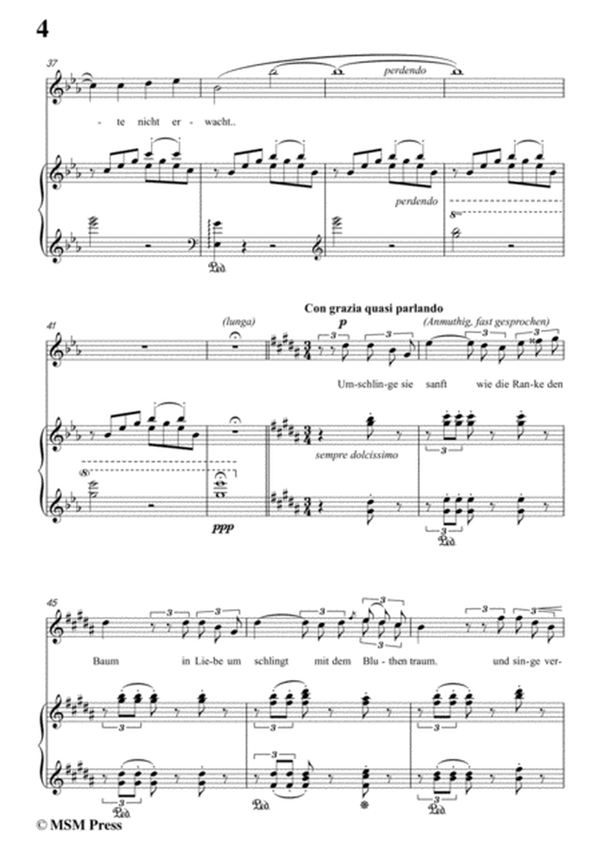 Liszt-Kling' leise,mein lied in E flat Major,for Voice and Piano image number null
