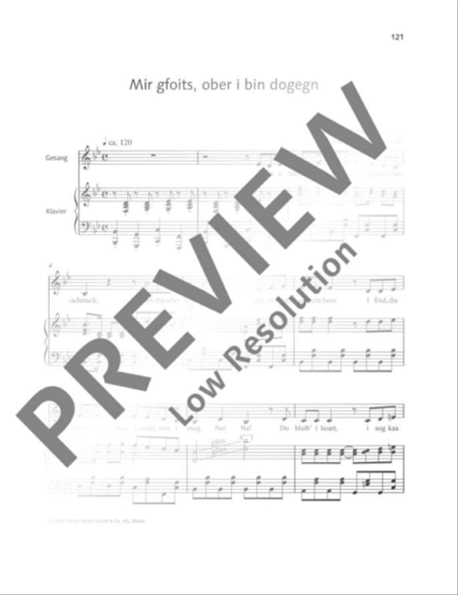 Mir gfoits, oba i bin dogegn Voice Solo scores gallery preview page 2