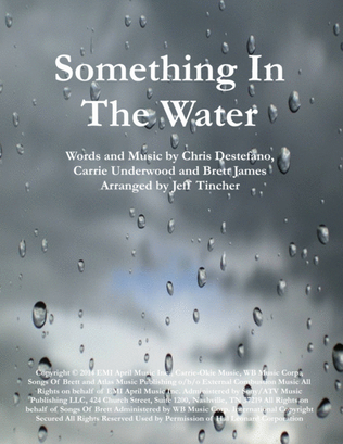 Book cover for Something In The Water