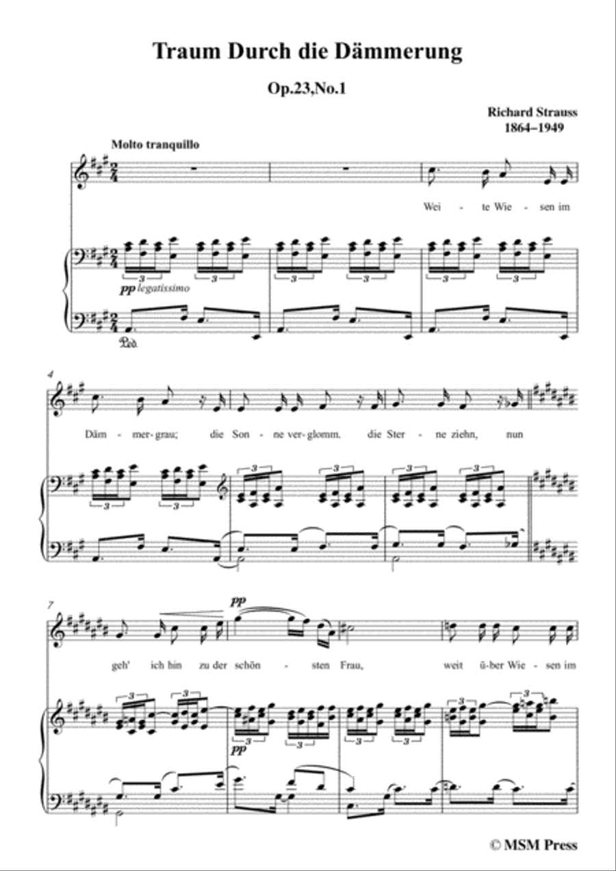 Richard Strauss-Traum Durch die Dämmerung in A Major,for Voice and Piano Voice Solo scores gallery preview page 3