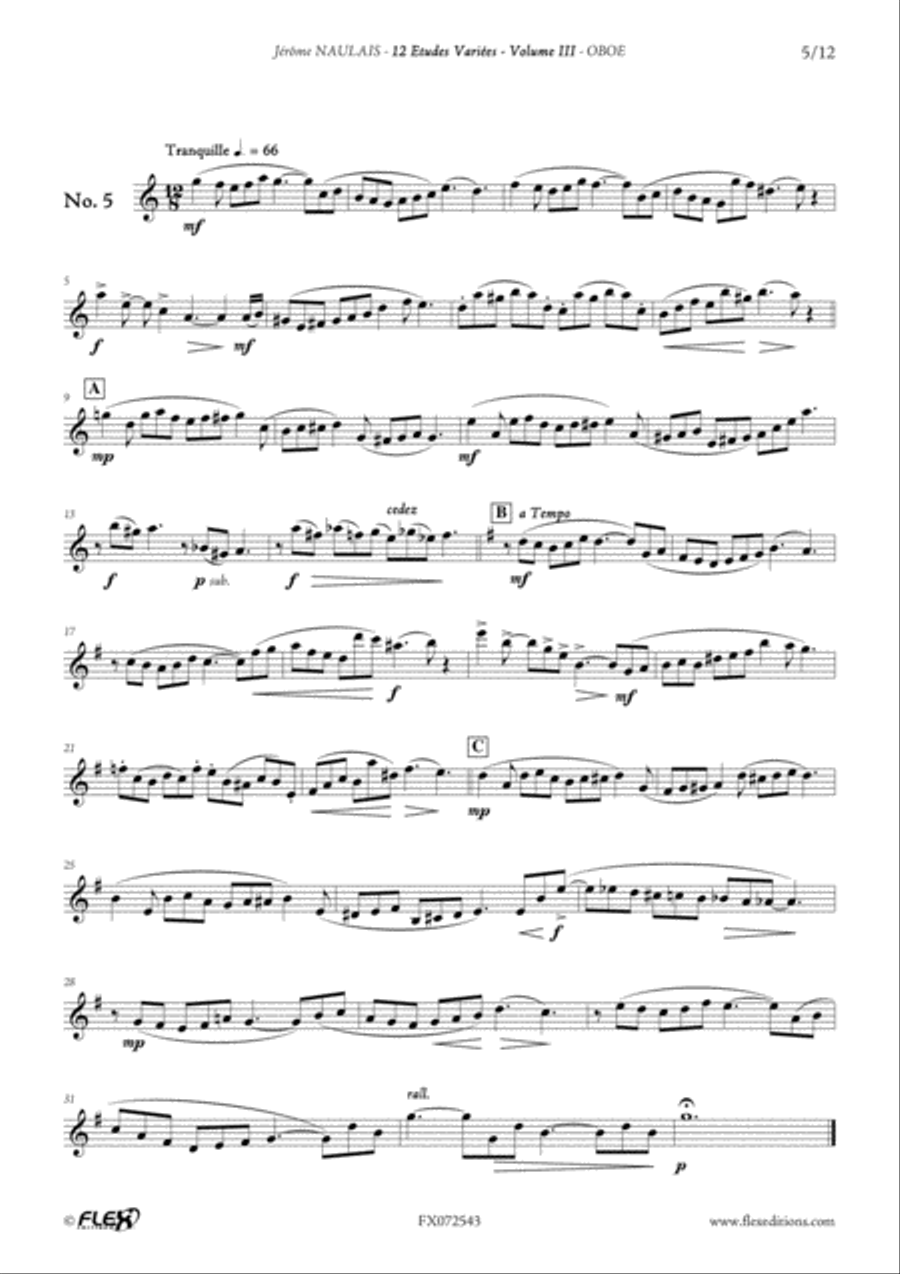 12 Etudes Variees - Volume III Oboe Solo scores gallery preview page 6