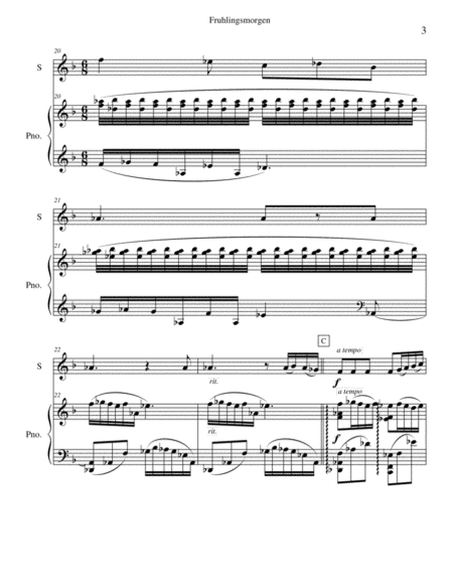 Lieder und Gesange - violin and piano image number null